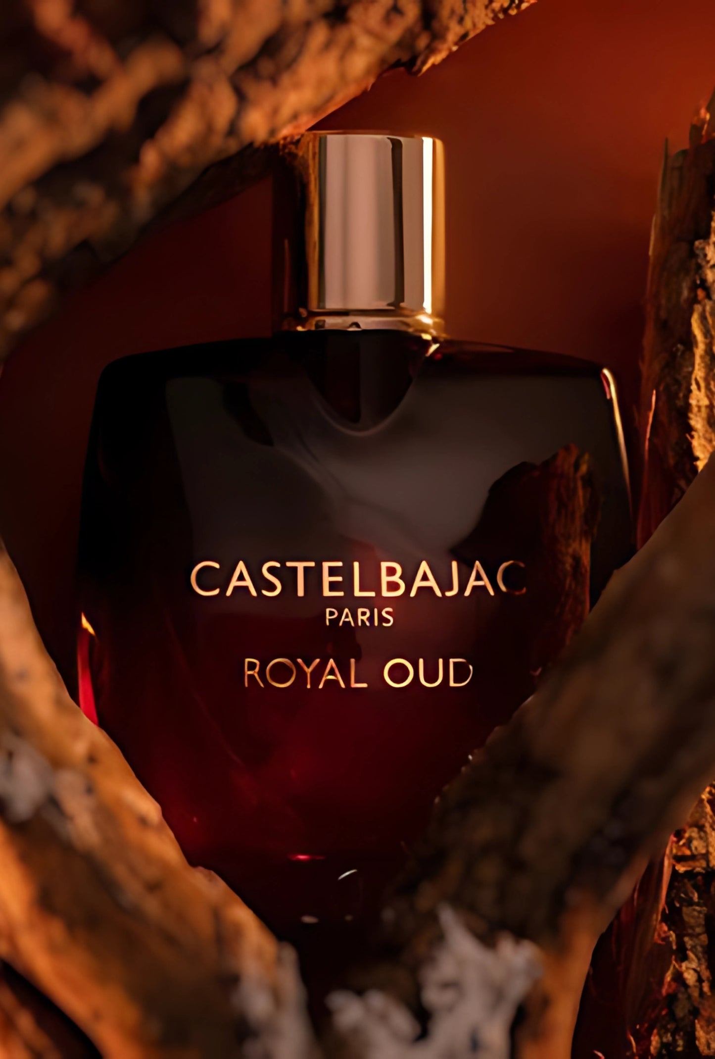Close-up of Royal Oud’s gold cap and amber-black glass, symbolizing opulence.